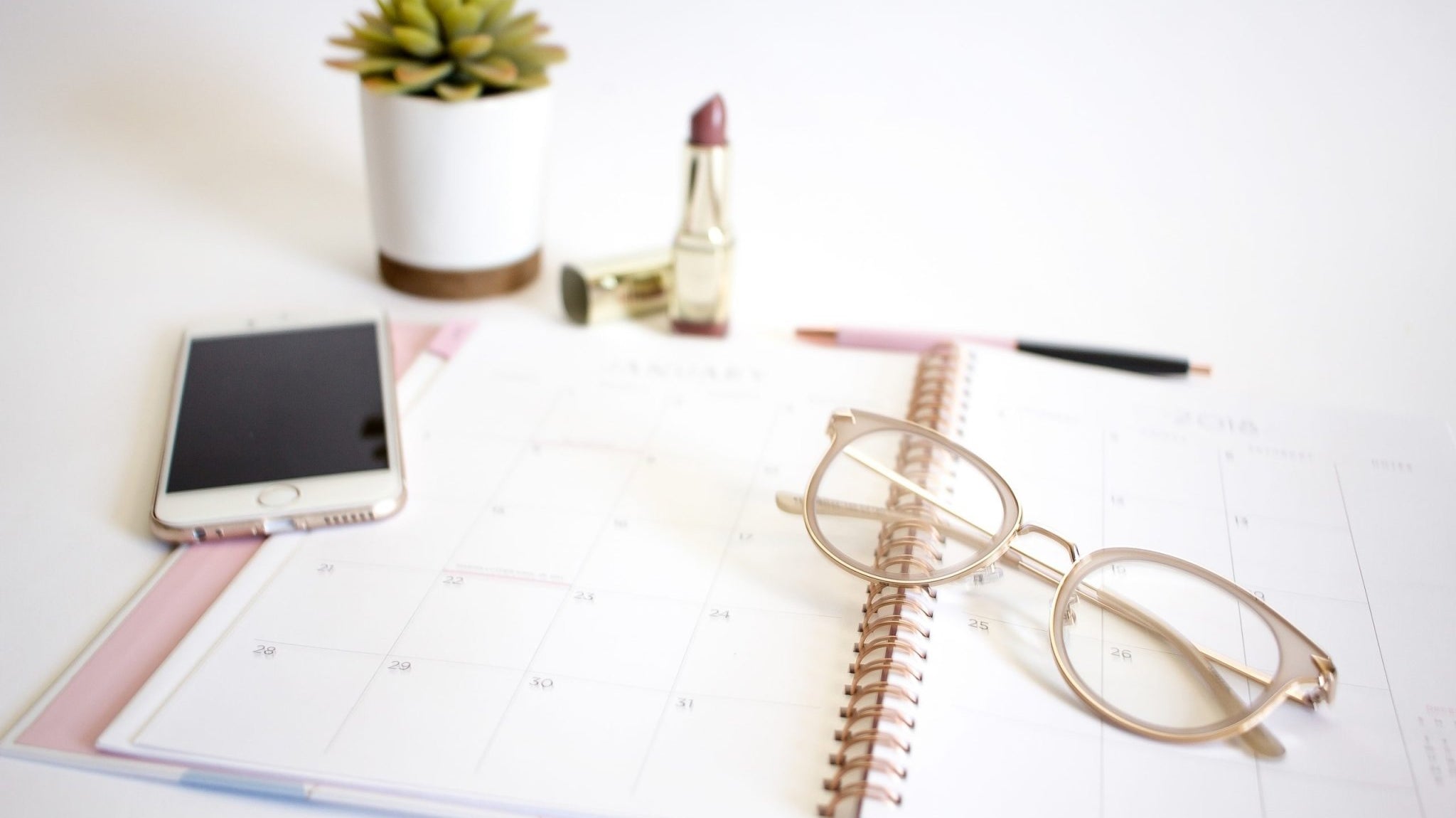 Welcome to Willow and Queen! | Willow and Queen