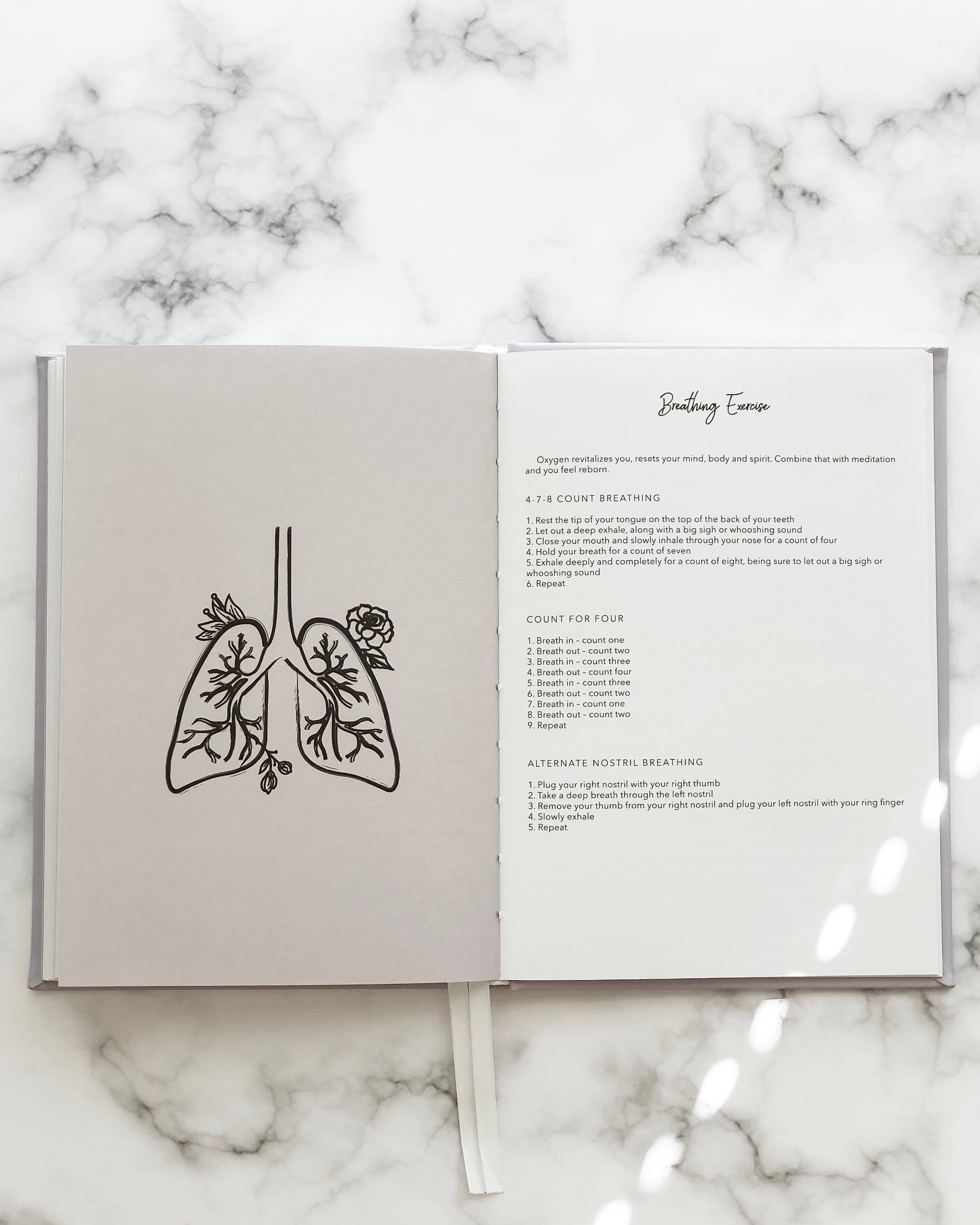 Gratitude & Affirmation Journal for Women – Daily Wellness Notebook - Willow and Queen