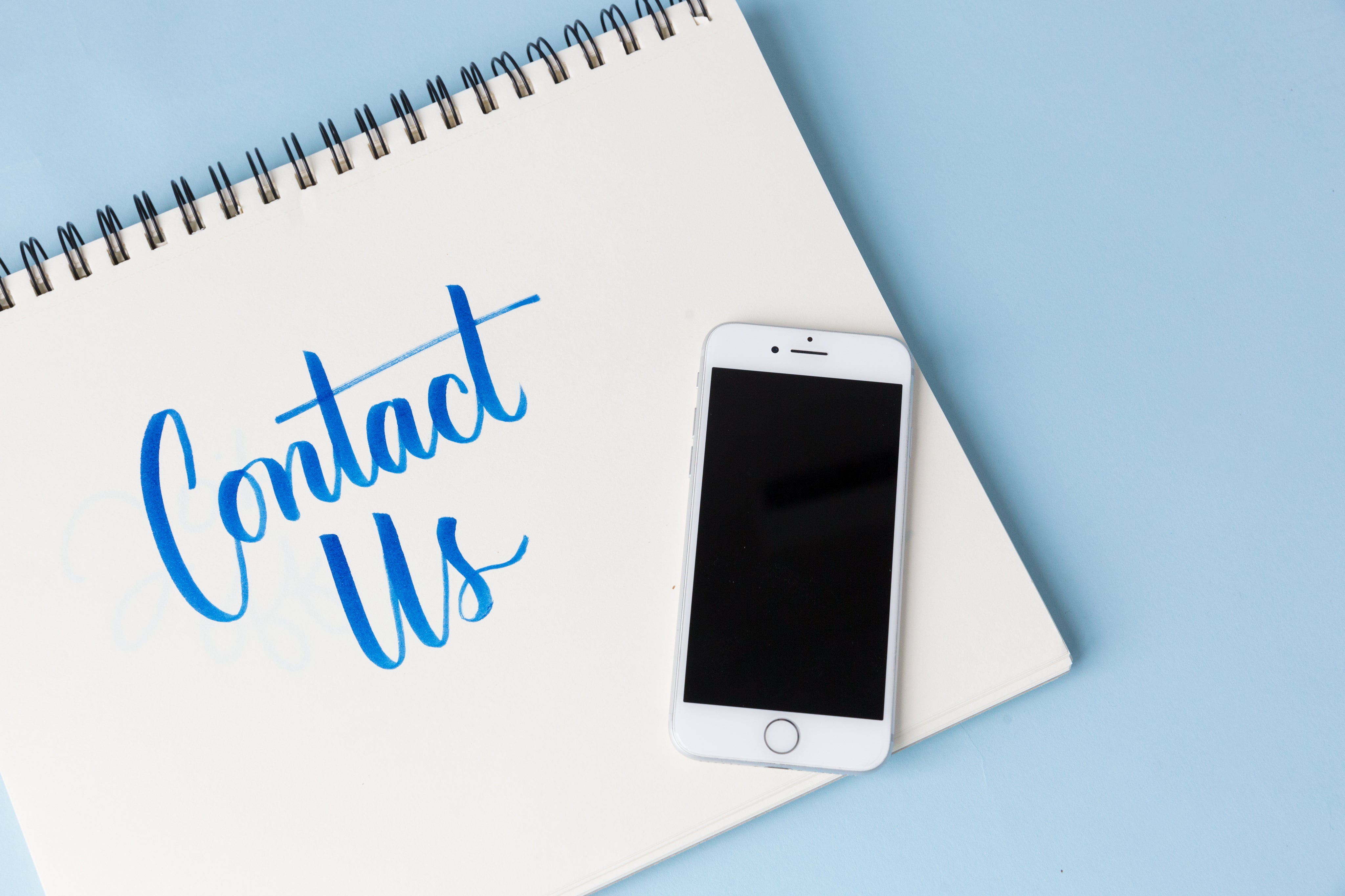 Contact the Willow and Queen team! We'd love to hear from you. 